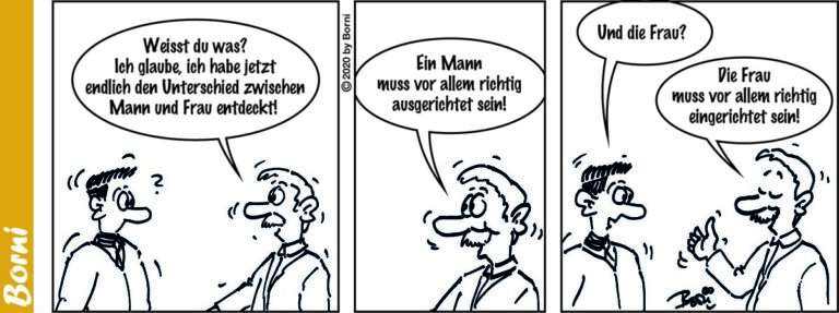 Borni - Cartoonstrip - mf-2008