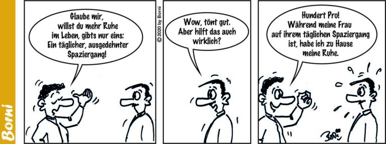 Borni - Cartoonstrip - mf-2009